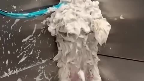 Funny animal videos part 1