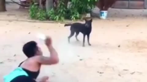 Dog sauked while men barking 😊😉😆😁