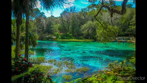 Ocala state park