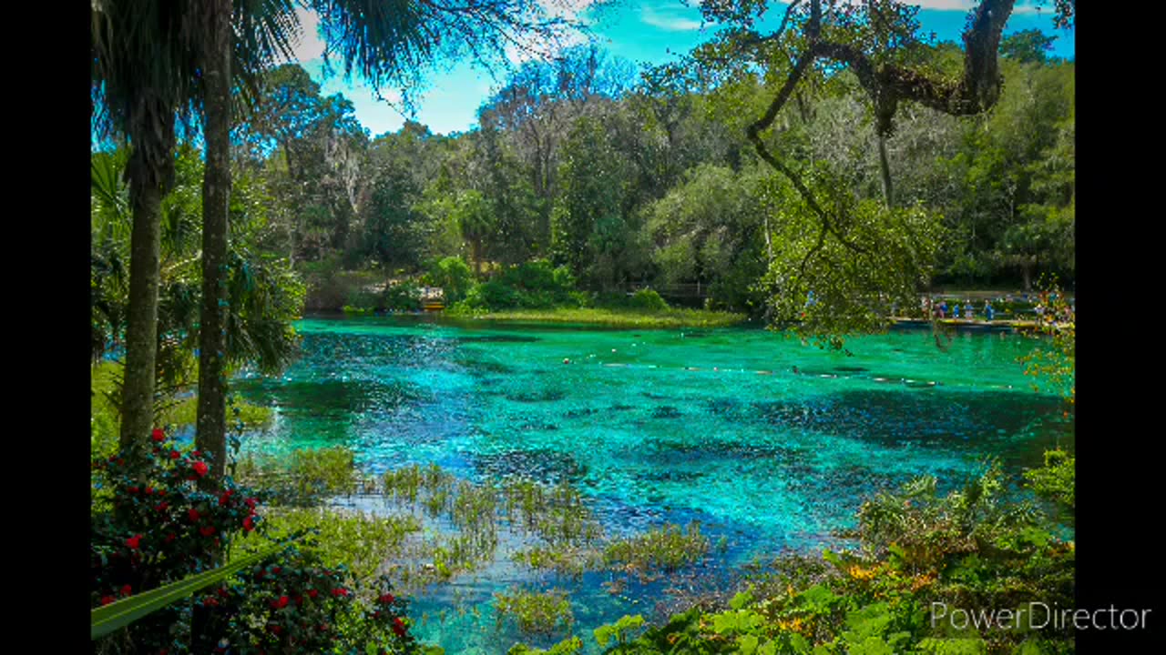 Ocala state park