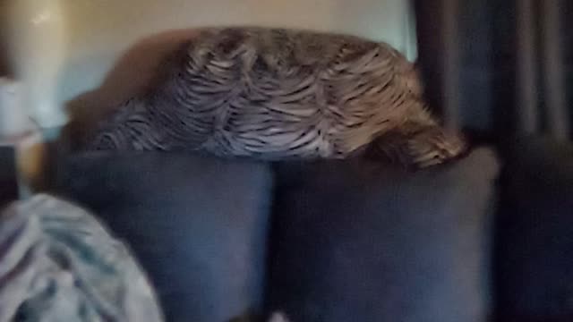 World Prayer Day Four / Let's Pray This s Down