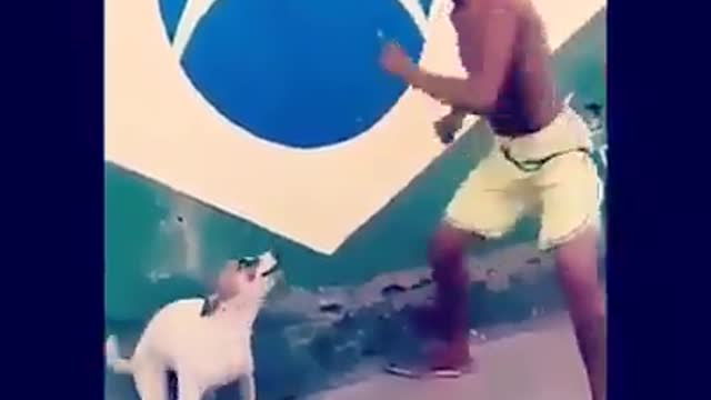 A very funny and beautiful clip of a dog singing and dancing with its owner