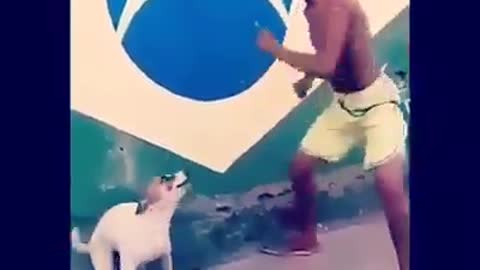 A very funny and beautiful clip of a dog singing and dancing with its owner
