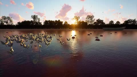 Sunrise under the sun