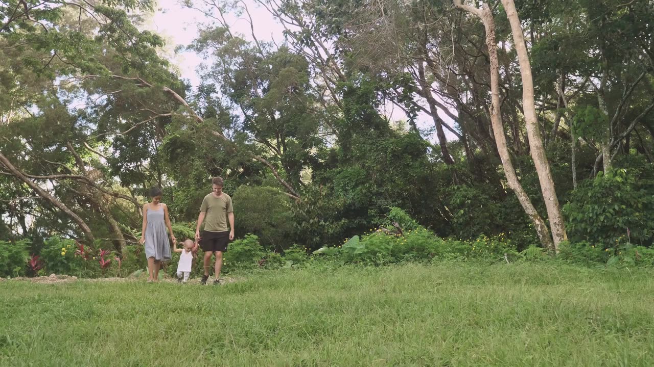 Trump's Remarks on Harris's Identity Miss the Mark