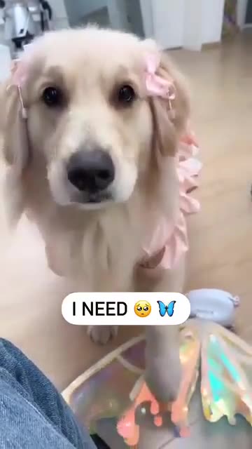 Time to meet with twins flame