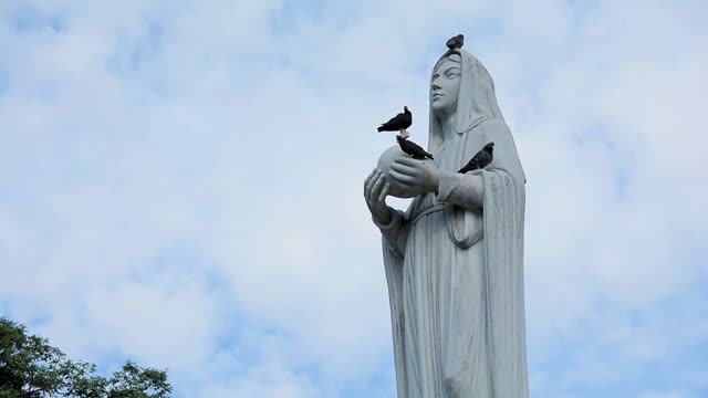 crows in statue