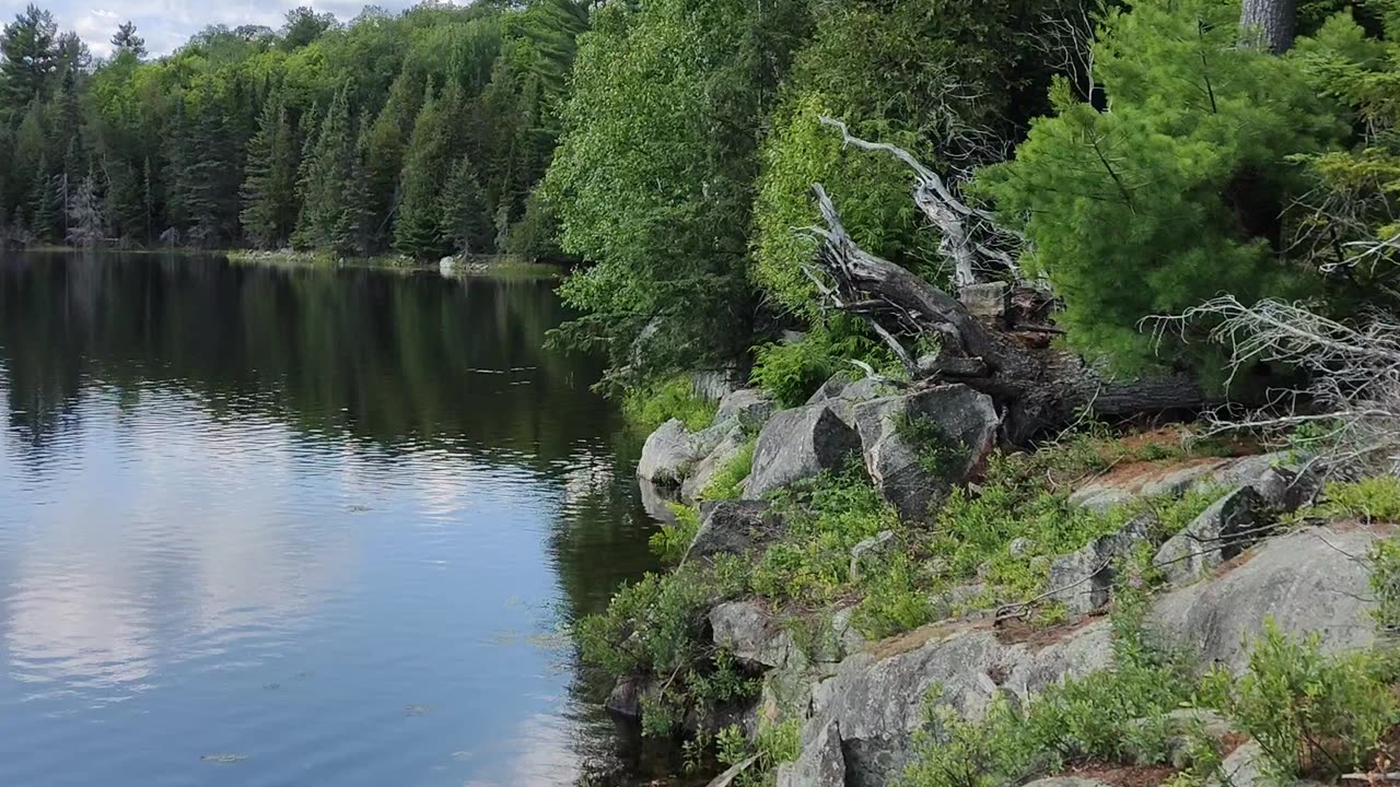 🇨🇦CANADA🇨🇦 - Sunny day in Paradise ! Don't be jealous, please :-) #nature #canada #discover #lake #travel #4k