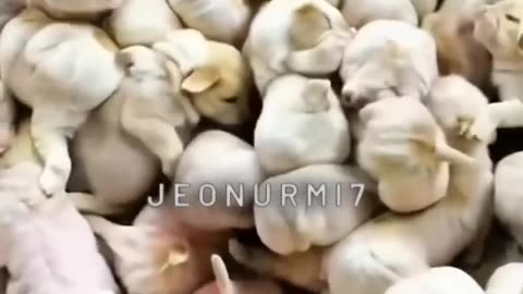 _jeonurmi7 _song _love _lovesong _newsong _funny _btsbd _boybandmusic _ _memes(720P_HD)