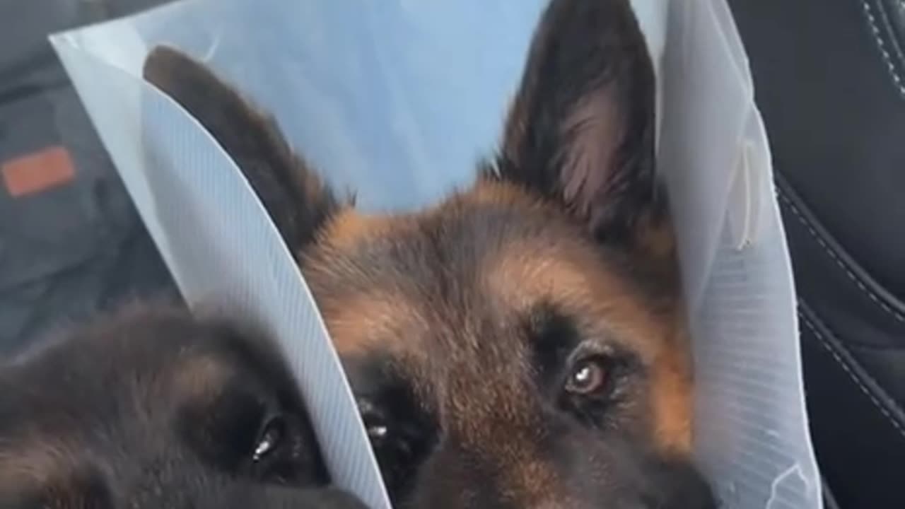 Looking for freebies 😂