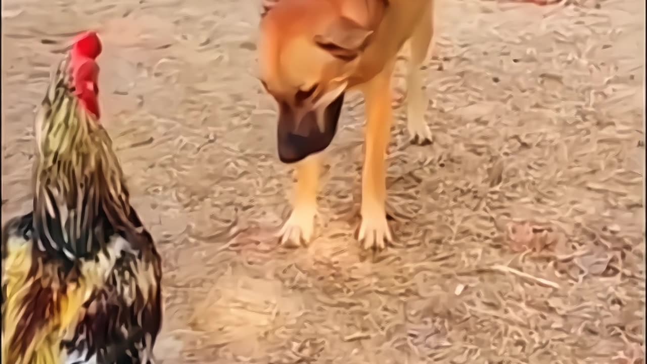 The last one 😂😂 Hilarious Dogs and Friend Comedy Compilation | Try not to laugh Funny Videos