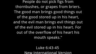 ✝️ Today's Bible Verse Luke 6:43-45