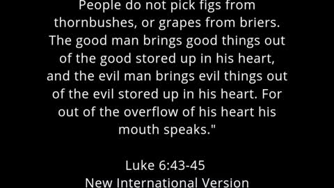 ✝️ Today's Bible Verse Luke 6:43-45