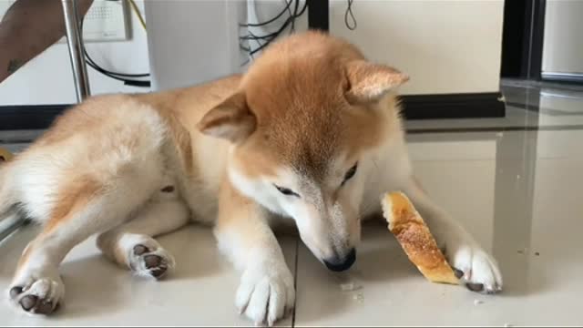 No one eats bread that's about to expire