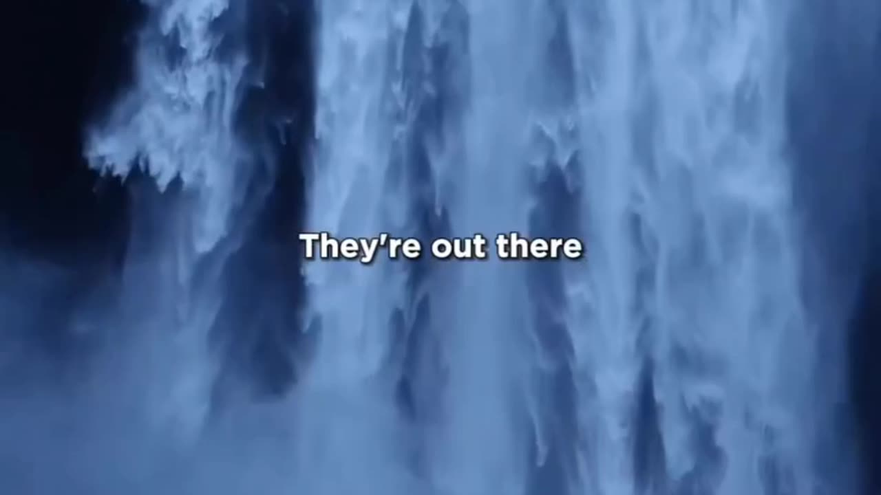 If you are looking for fun Do not watch this video