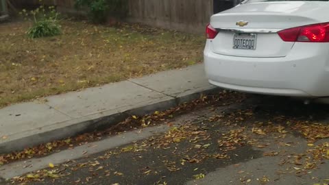 Three Car Literal Pile Up