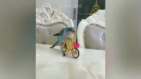 Smart