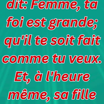 "La Foi de la Femme Cananéenne : Une Persévérance Récompensée" Matthieu 15:28.#short #youtube #yt