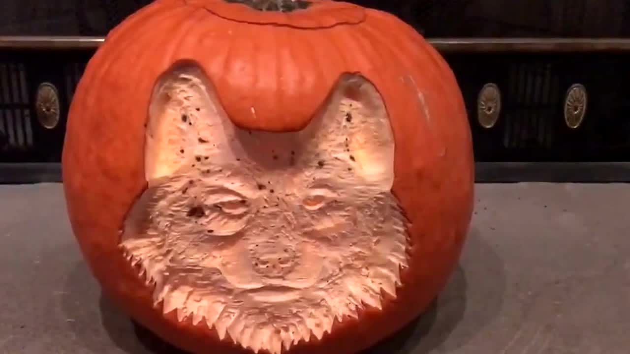 Artist carves a wolf face into a pumpkin to make a spooky jack-o-lantern