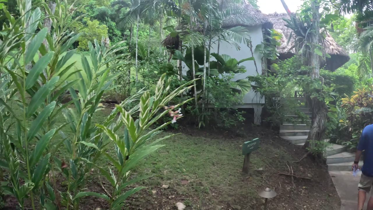 Vacation to Belize Day 1