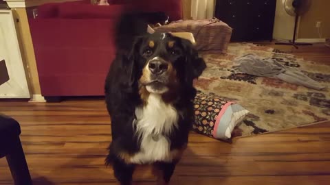 Cassy (a.k.a. Catturd) has a talk with her Dad.