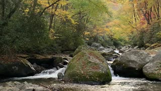 Peaceful stream 2