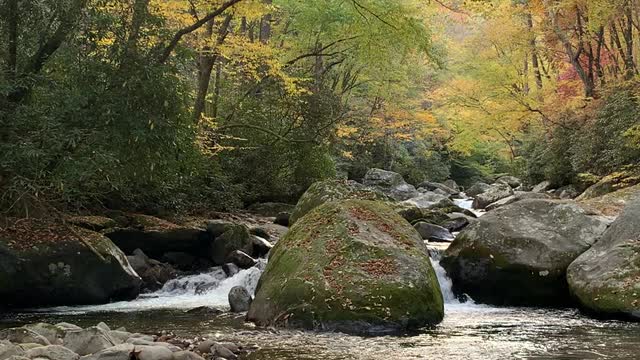 Peaceful stream 2