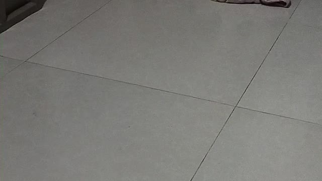 my pet husky broke our blanketš¤£