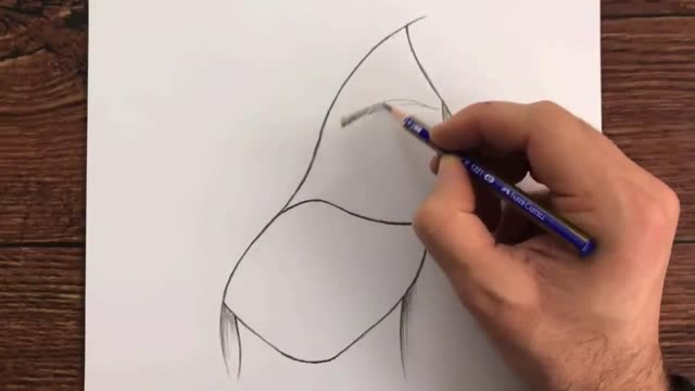 Draw The Shape Of Willow Leaf Eyebrows