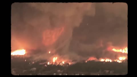 should we leave our forests burnt?