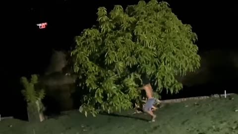 Charles e bananinha assusta o tiringa como o drone
