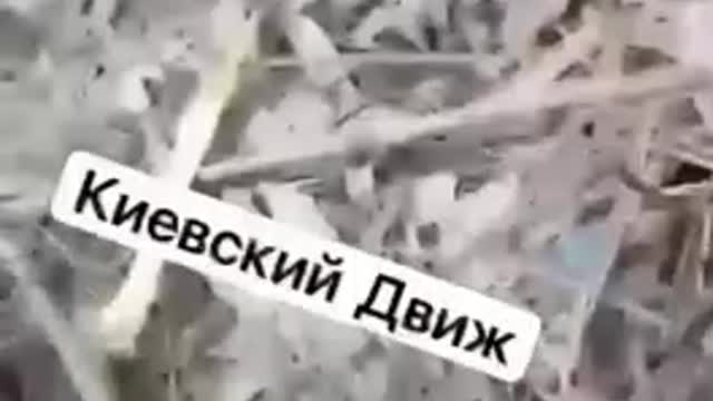 Ucraina: la vera storia. Parte prima