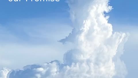 The Promise