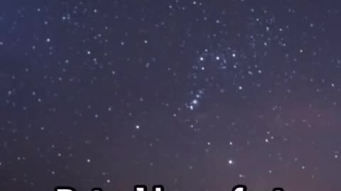 WE ARE THE UNIVERSE EXPERIENCING ITSELF