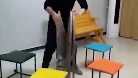 Amezing video