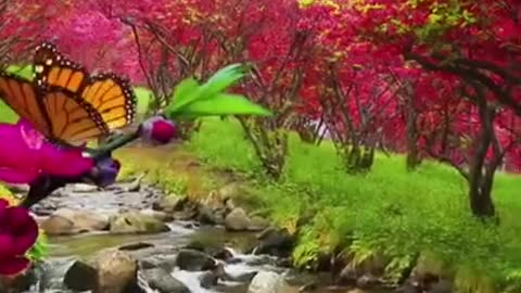 Beautiful place natural