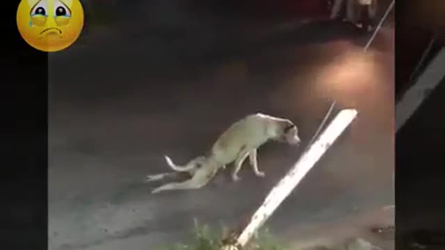 Its Time to Laughter 😂😂😂