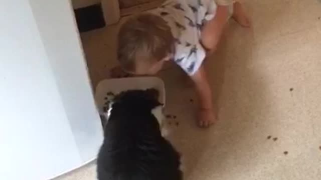 Baby hilariously imitates cat's eating habits