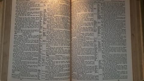 Isaiah 17