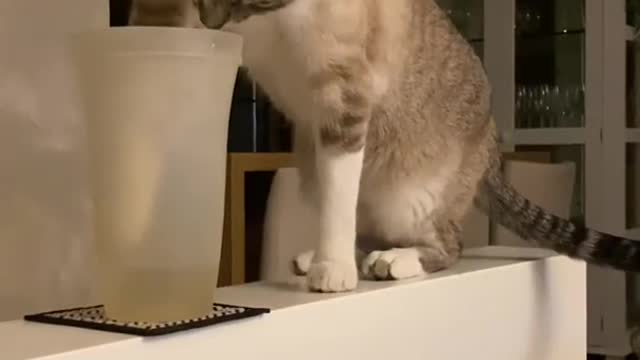 Pranks
