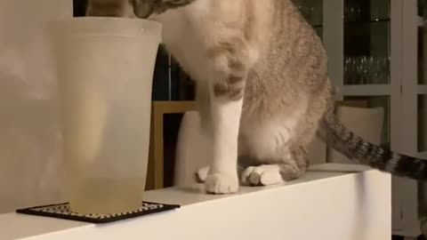 Pranks