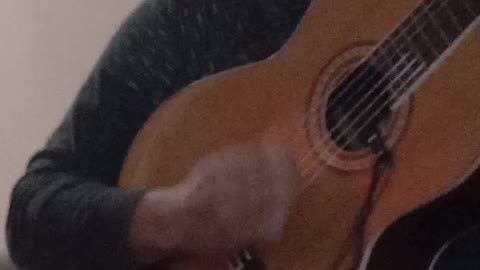 Guitar5