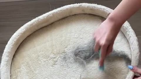 Easy Clean For Carpet and Rags