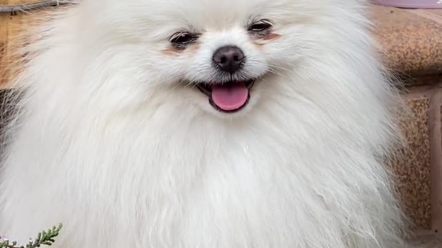 Finally A Good Smile