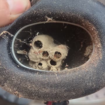 Inspect your ear protection before you wear it!!