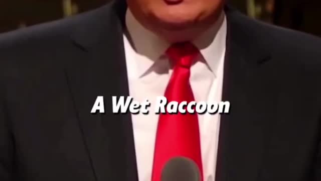 Donald Trump states- what people say about