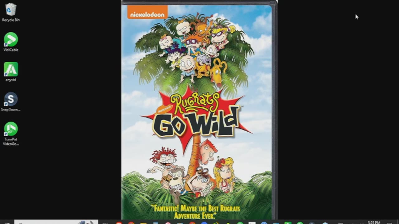 Rugrats Go Wild Review