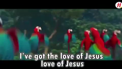 I’ve got the joy joy joy in my heart