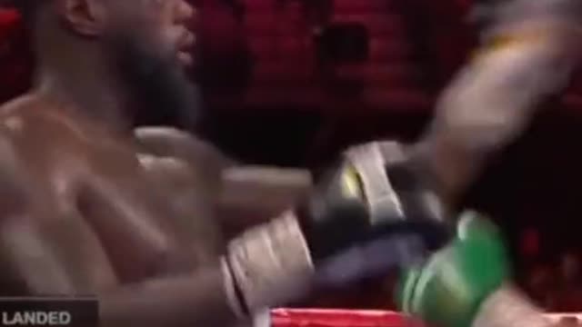 Fury vs Wilder