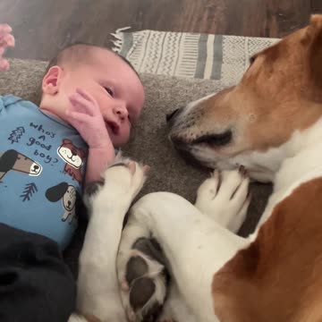 Old dad dog and new baby @never_not_phlegmy